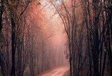 比利亚雷亚尔主教练证实球队心理状态良好