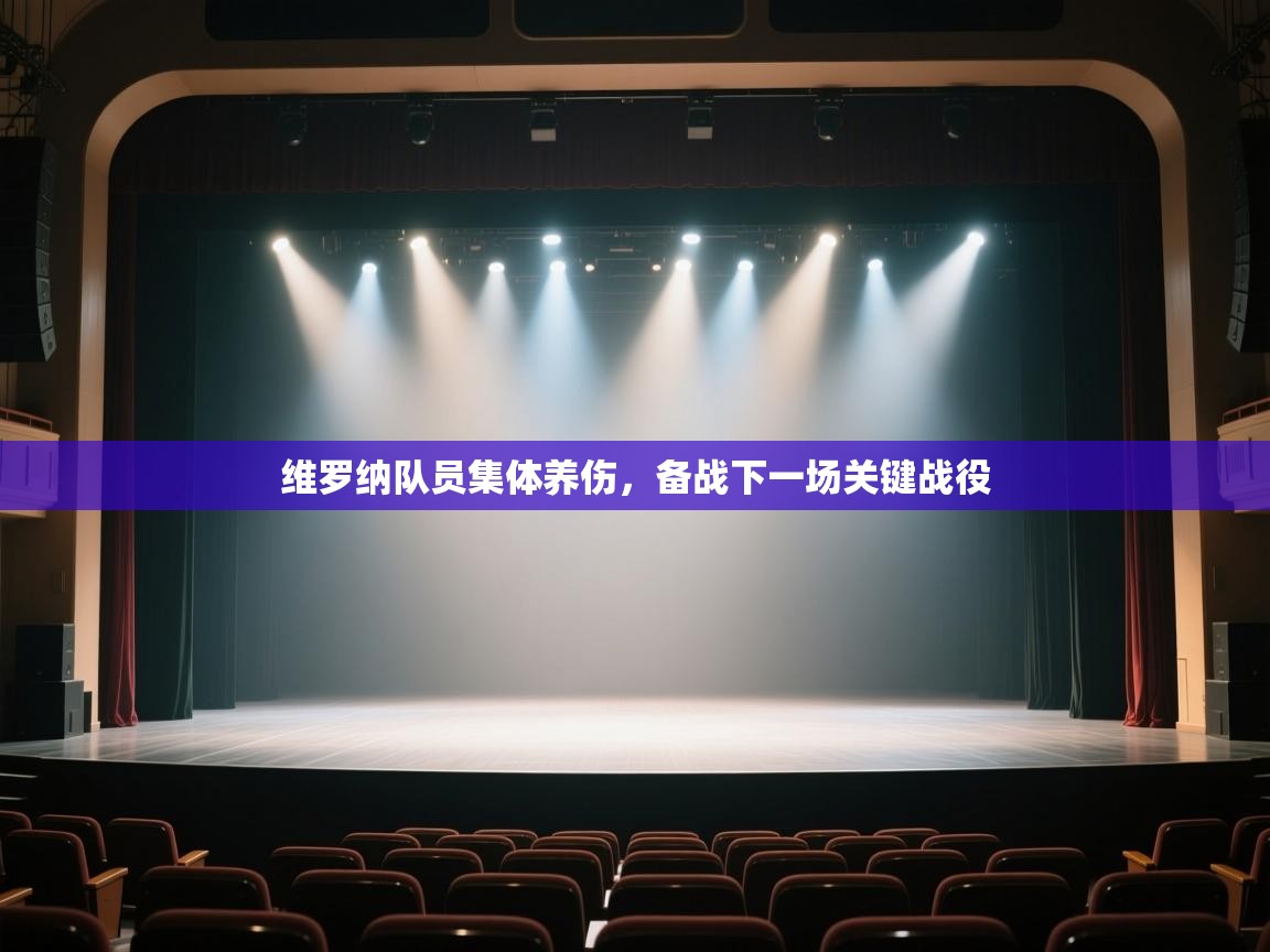 维罗纳队员集体养伤，备战下一场关键战役  第2张