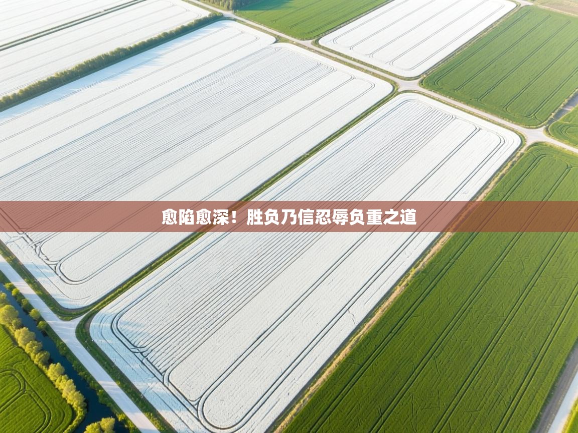 愈陷愈深!胜负乃信忍辱负重之道