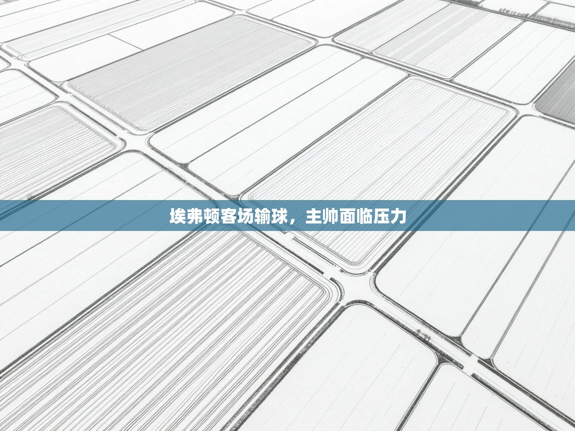 埃弗顿客场输球，主帅面临压力  第1张