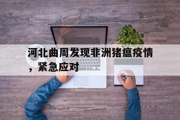 开云体育在线直播-河北曲周发现非洲猪瘟疫情，紧急应对